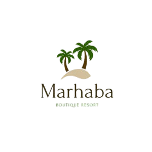 logo4-300x300-removebg-preview